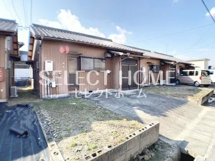 畔柳裕子の画像