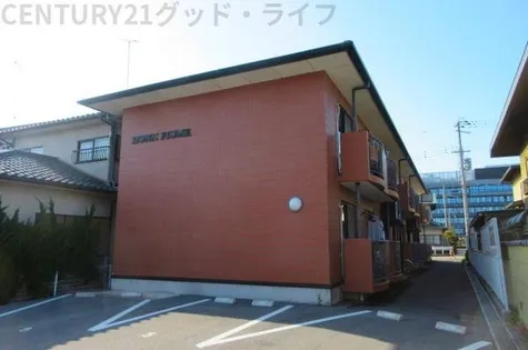 DONN FIUMEの画像