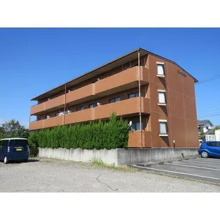 グレイス田中の画像