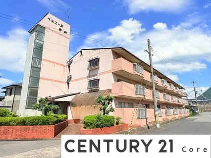 ベルエーヌ野洲の画像