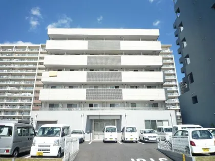 ティ ア モールの画像