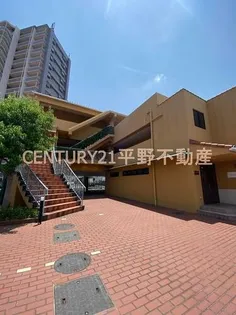 アリエッタの画像