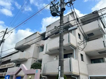 メゾン・ド・エル【4階】の外観