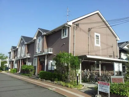 ビバ ユズの画像