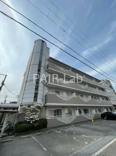 ピュア エレガンスの画像