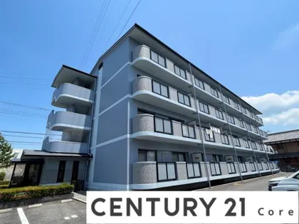 フォルクス淡海 (野洲市市三宅)【2階】の外観