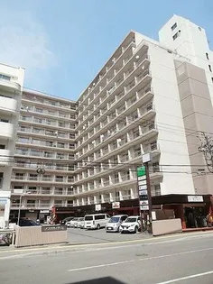 プラザハイツ24の画像