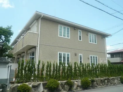 OCEAN FORESTの画像