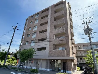 セルヴェールの画像