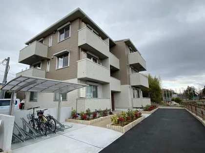 カメリアの画像