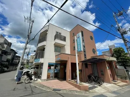 コーラルリーフの画像