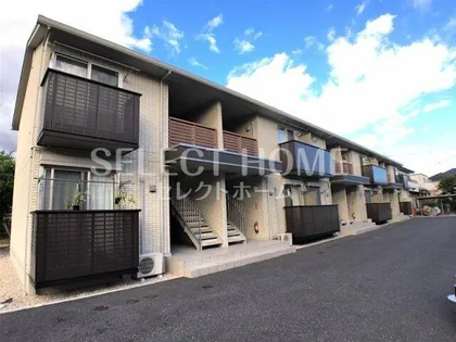 インテレクトの画像