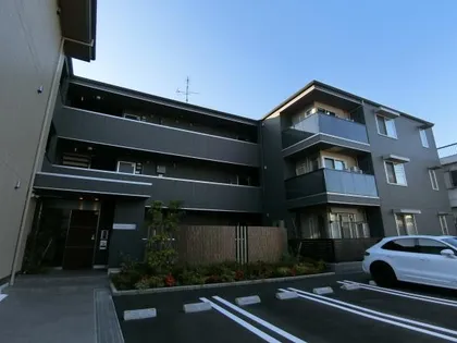 ソシア白鳥の画像