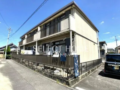 コスモスの画像