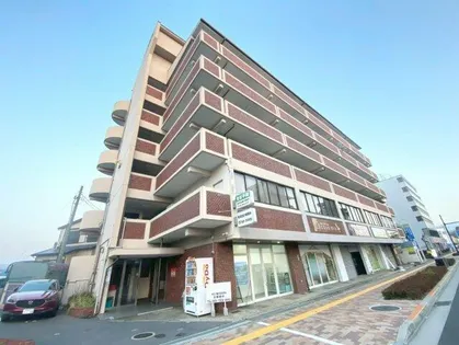 メゾン白鳥の画像