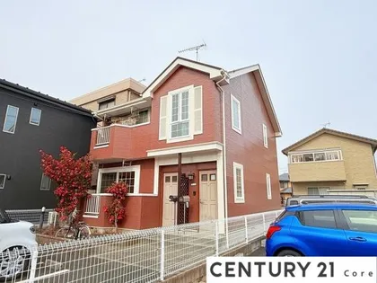 ブロッサムの画像