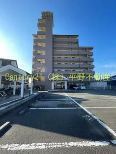 アルカディアロイヤルの画像