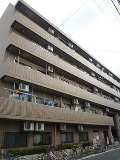 ハイグレード千島の画像