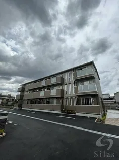 グラシア内畑の画像