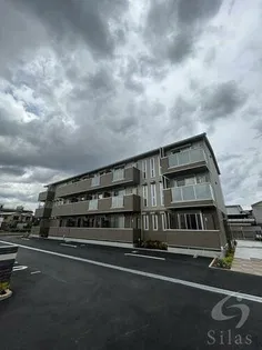 グラシア内畑の画像