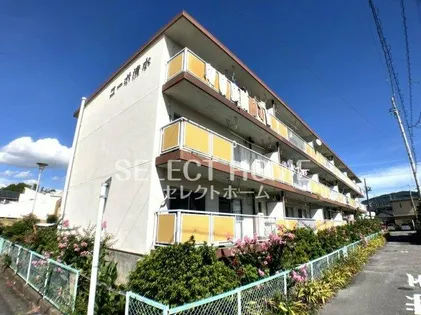 愛知県額田郡幸田町大字菱池字細井【マンション】の外観