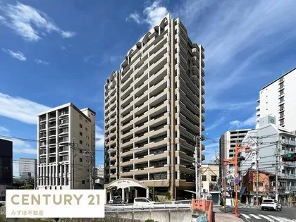 アンピールリーヴァス天神の画像