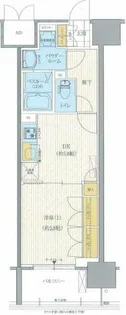 セイシア大拓26【9階】の間取り