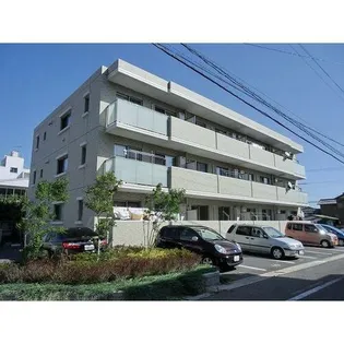 S RATIOの画像