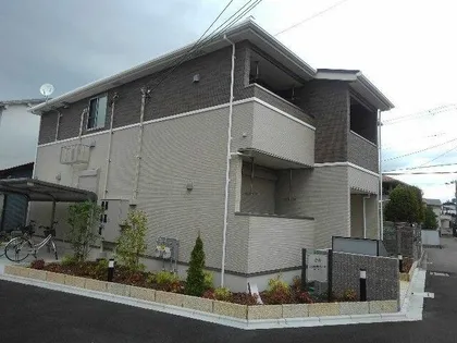 コモド カーサの画像