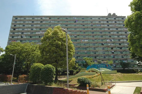 URくすの木の画像