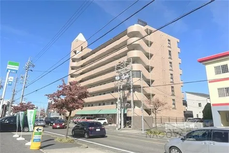 ブロンズ森島の画像