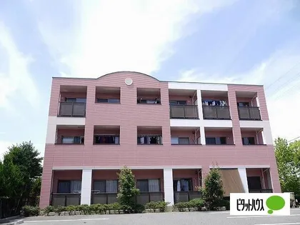 グレイスフルの画像