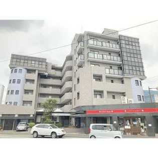 カメリアライジング21の画像