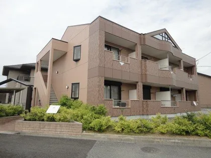 シャインハートの画像