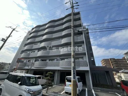 ラフィーネの画像