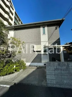 コモド恵美酒の画像