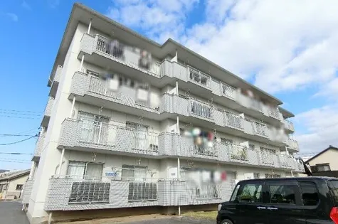 第1ベルセゾンカネセンの画像