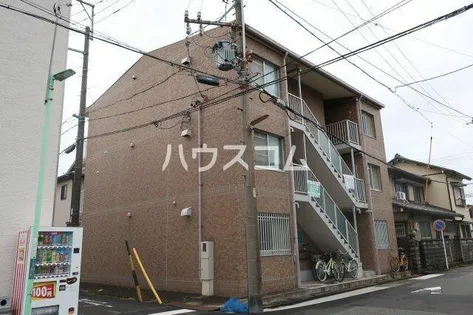 サンフラワー一番の画像