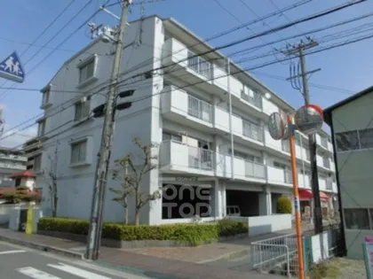 パロス沢良宜の画像