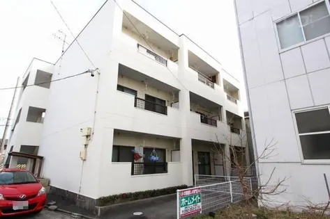プチキャロルの画像