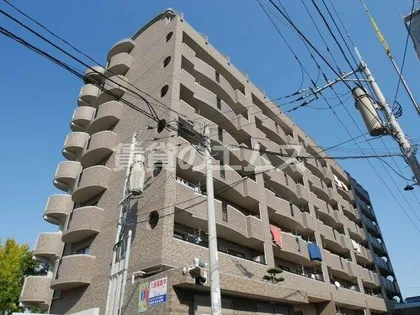 パラディの画像