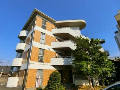 大阪府堺市東区丈六【マンション】の外観