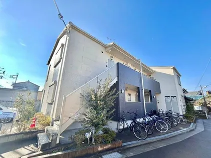 アムールレオの画像