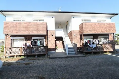 グレース小森野の画像