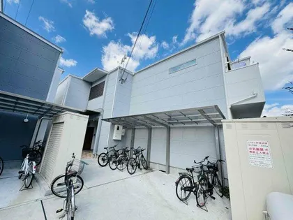 セントポリア衣摺の画像