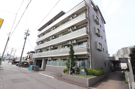 ポポラーレ白鳥の画像