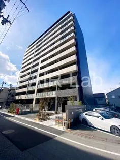 ケイマンの画像