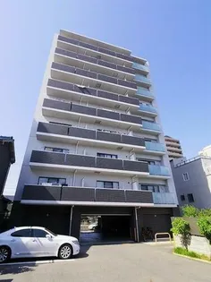 SAKURA FUJINALEの画像