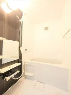 clarte内田橋Ⅱ【202号室】の風呂