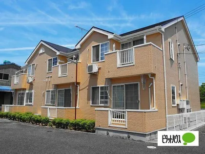 スターライトの画像